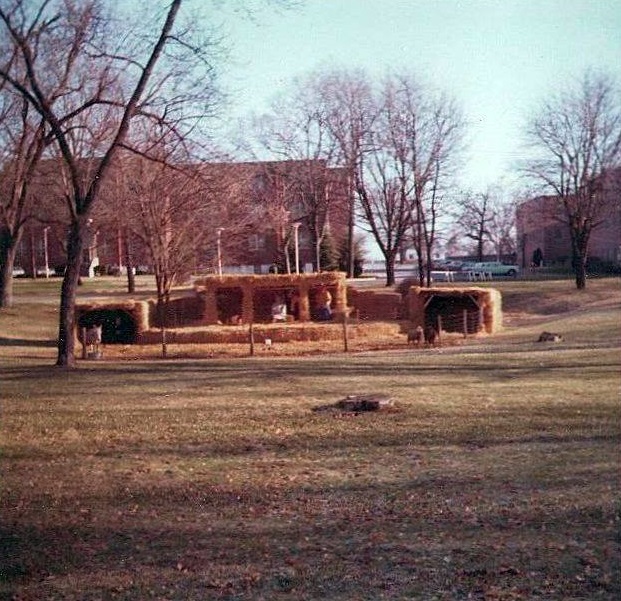 1937468_788905921146182_4695636518571571339_n