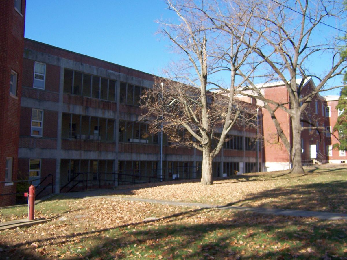 eshfemalewardsrear2010