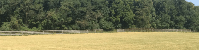 screen-shot-2016-09-22-at-12-28-48-am