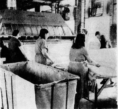 screen-shot-2016-11-10-at-2-56-25-pm