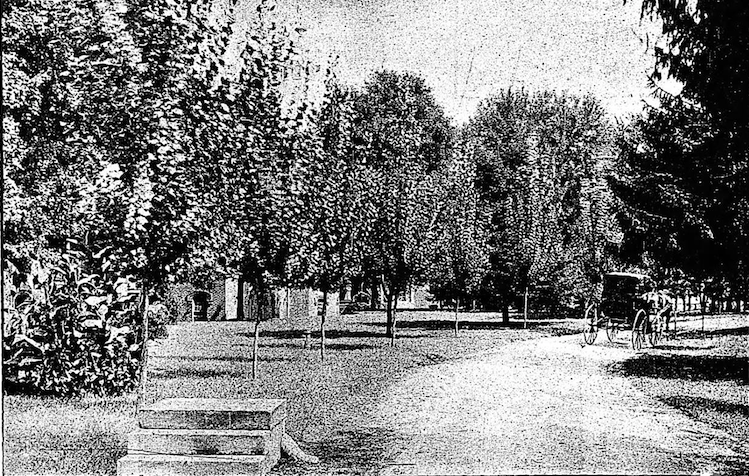 Screen Shot 2017-01-07 at 2.04.53 AM.png