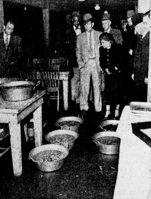 Screen Shot 2017-01-10 at 6.53.44 PM.png