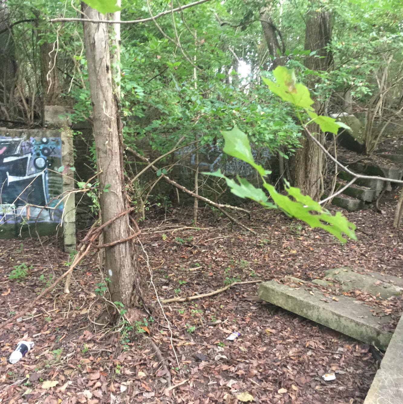 21886801_10155161502678717_187826328_o