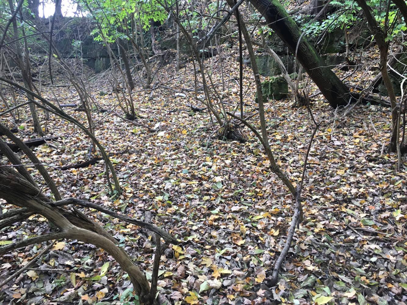 23379617_10155297417193717_1453128400_o