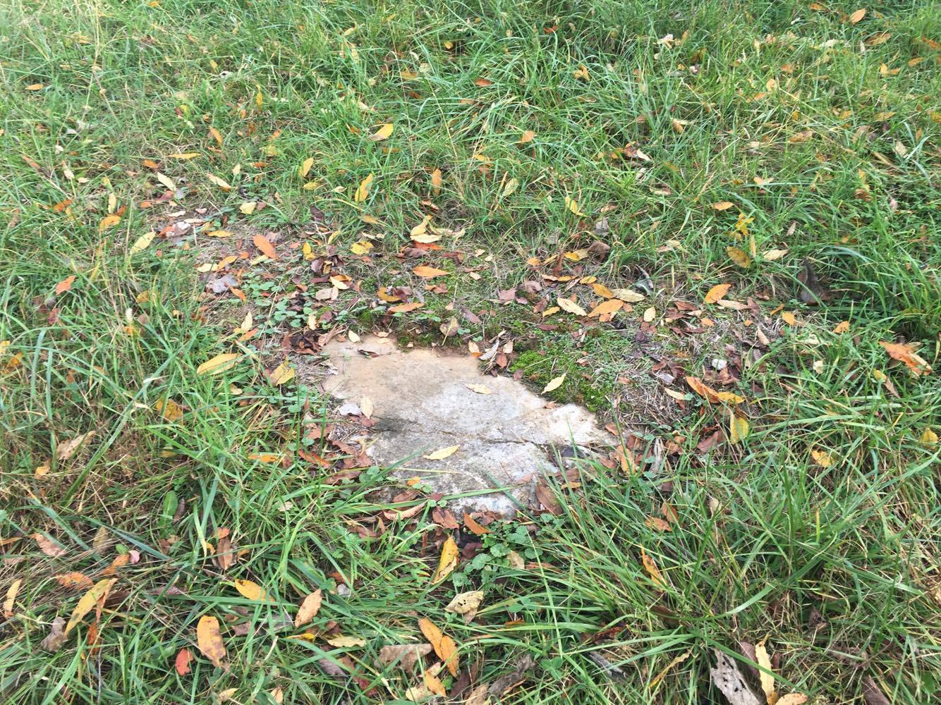 23432381_10155297417048717_1196338758_o