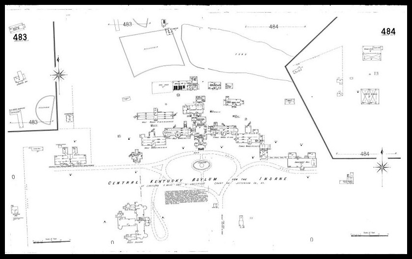 imageedit_1_4421806313