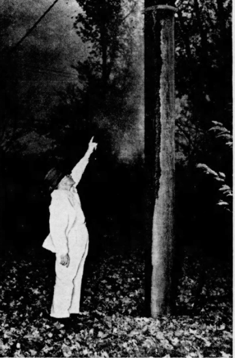 Screen Shot 2018-05-03 at 10.43.09 PM