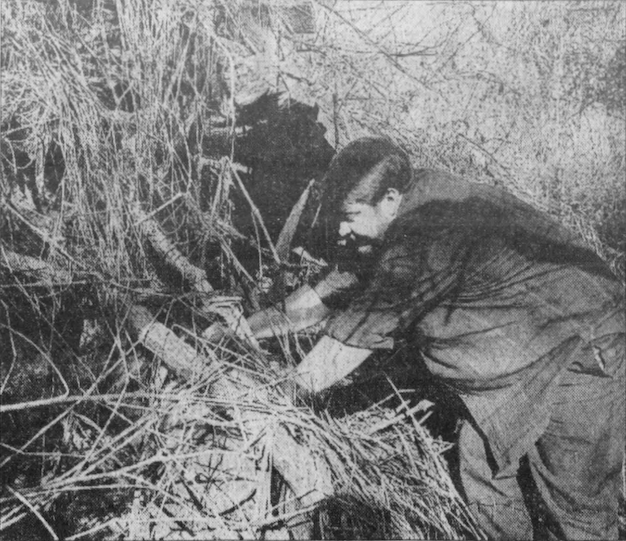 Screen Shot 2018-11-25 at 7.11.25 PM.png